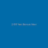2155 Yeni Boncuk Mavi